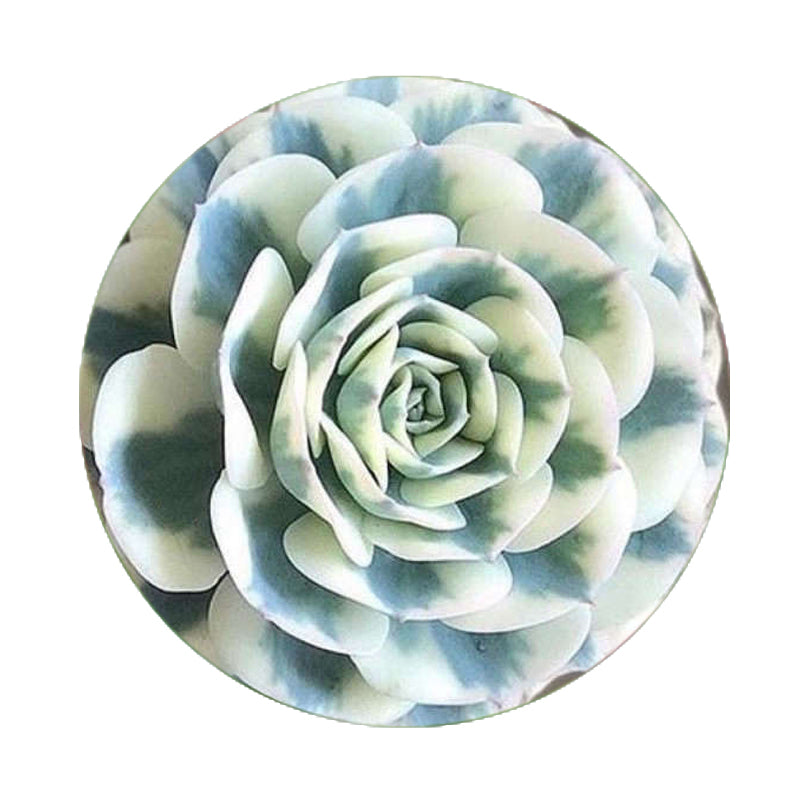 Parenting and Children